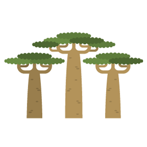 Baobab Free PNG Illustration