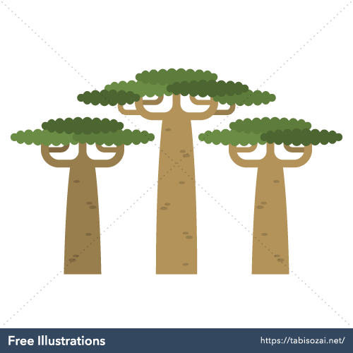 Baobab Free Illustration