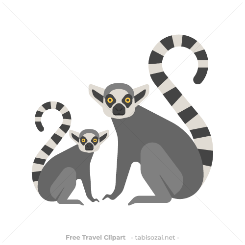 Ring tailed lemur (Maki catta)(Madagascar) clipart